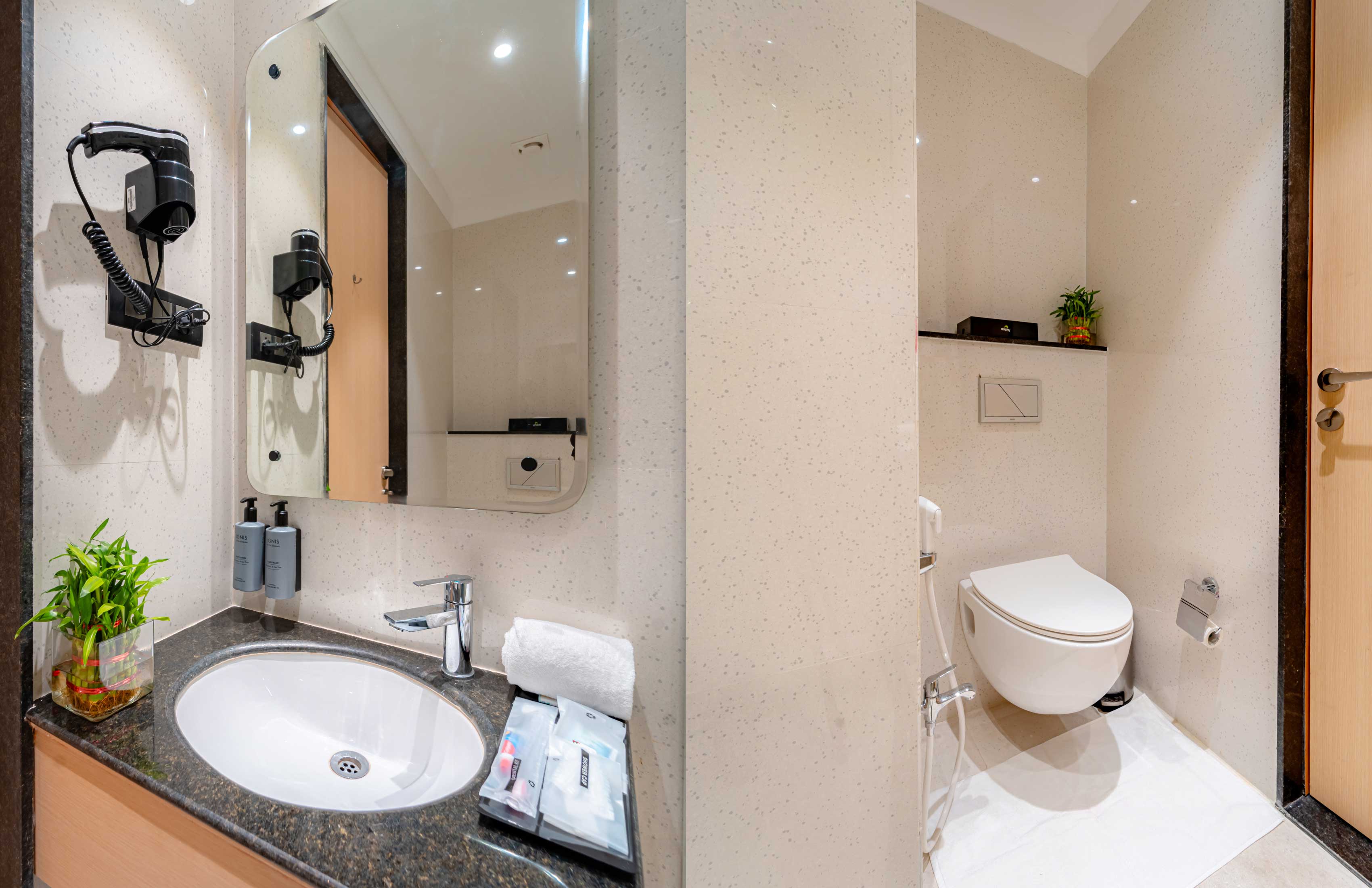 Deluxe bathroom