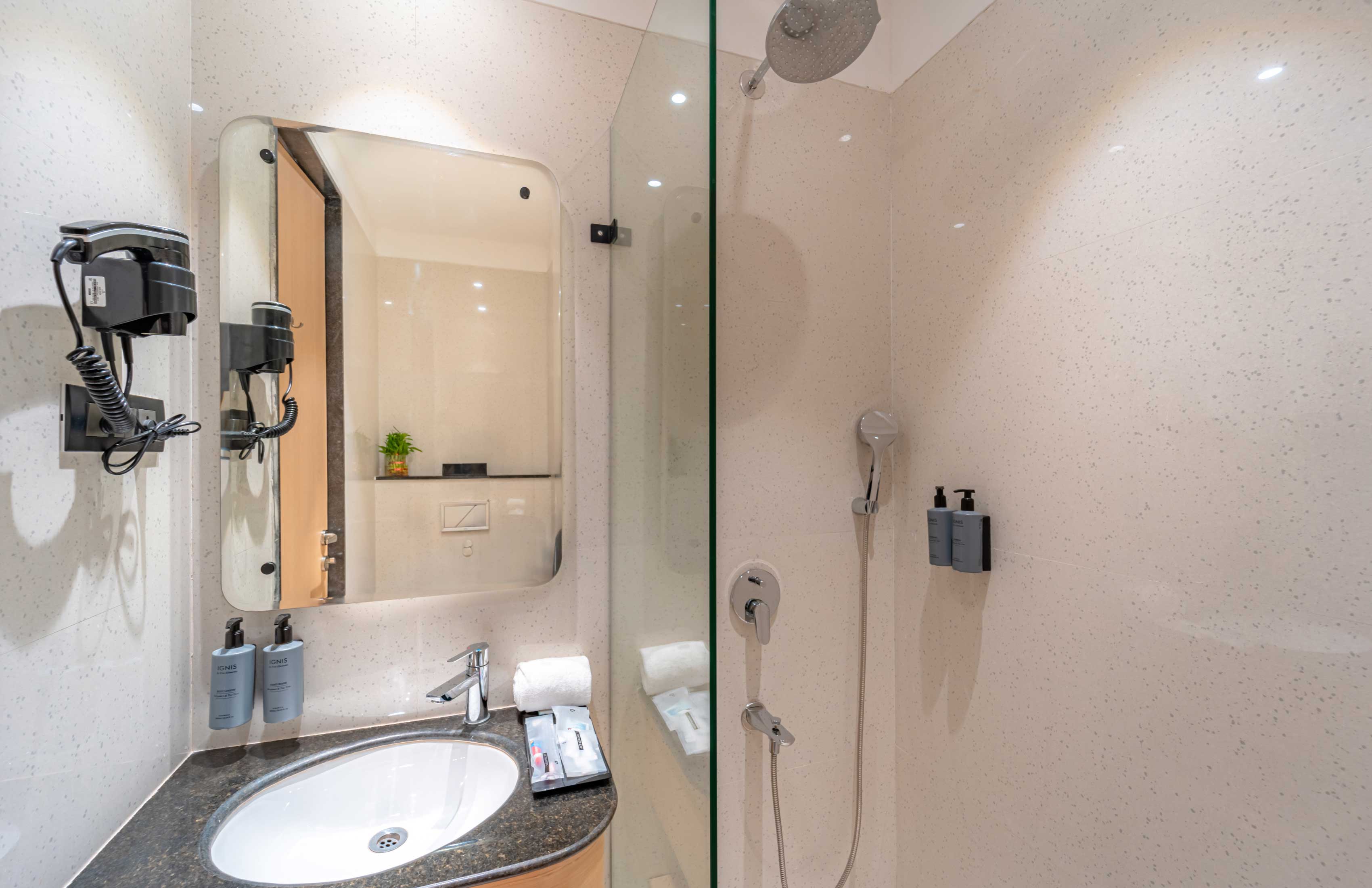 Deluxe bathroom shower
